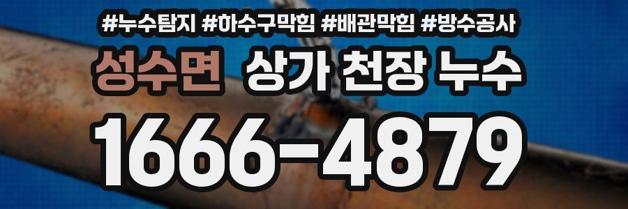 성수면 상가 천장 누수
