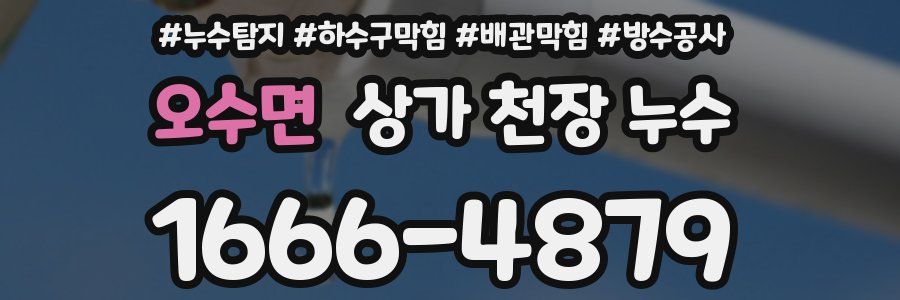 오수면 상가 천장 누수