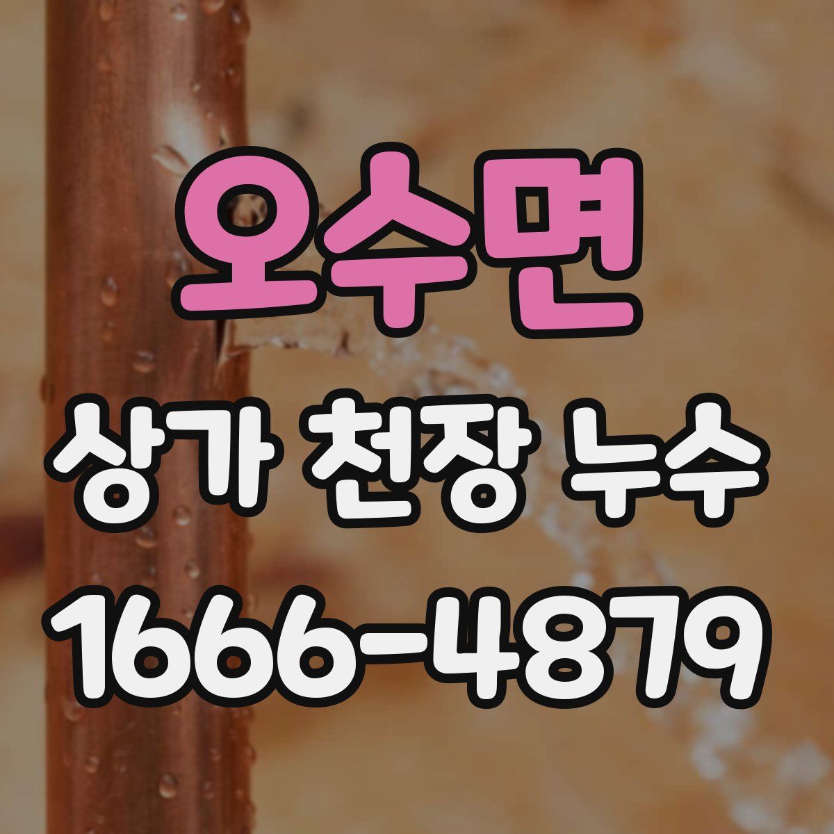 오수면 상가 천장 누수