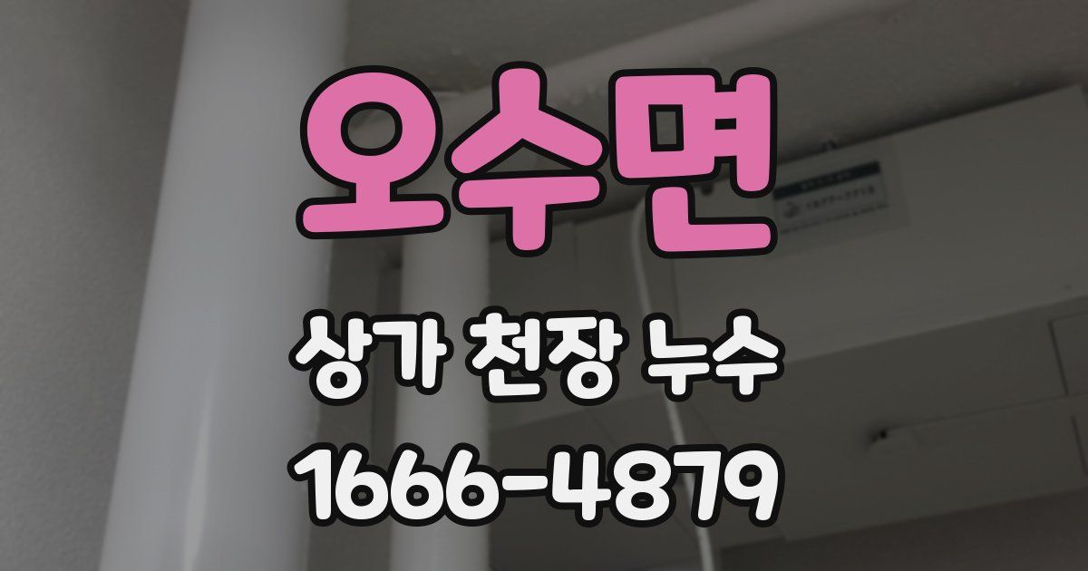 오수면 상가 천장 누수