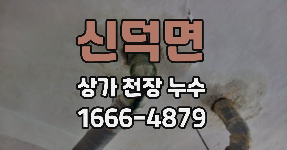 신덕면 상가 천장 누수