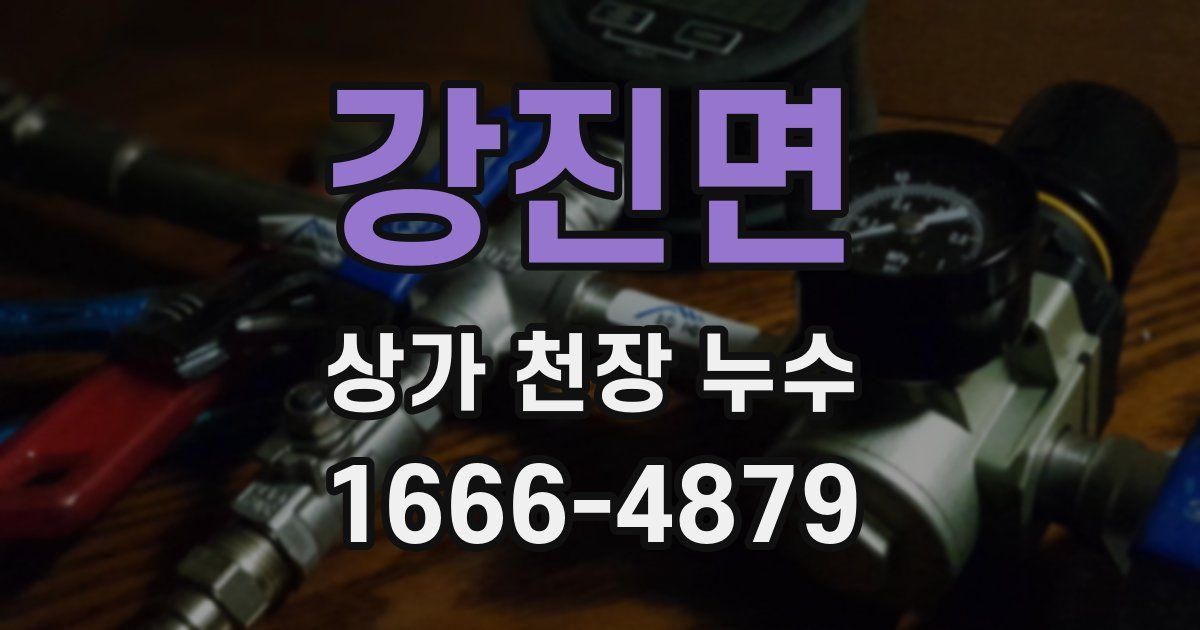 강진면 상가 천장 누수