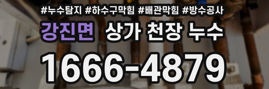 강진면 상가 천장 누수