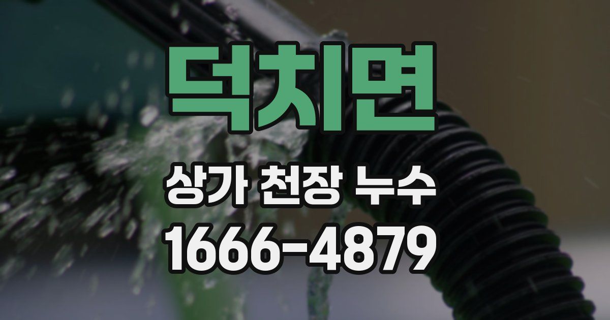 덕치면 상가 천장 누수