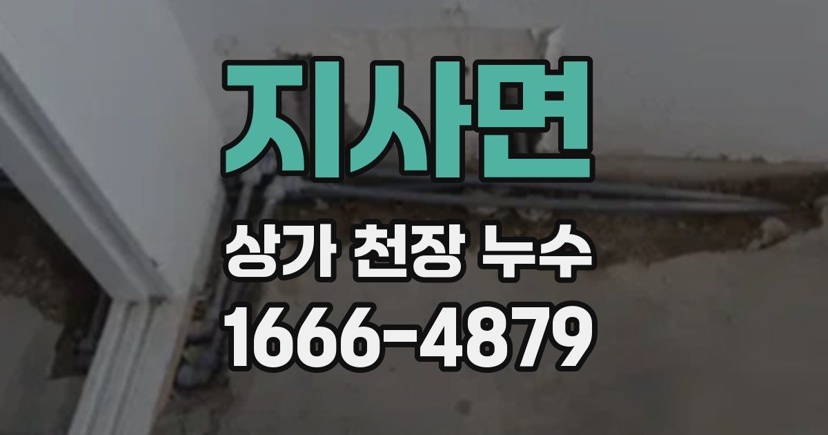 지사면 상가 천장 누수