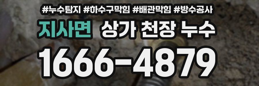 지사면 상가 천장 누수