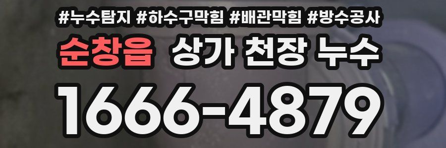 순창읍 상가 천장 누수