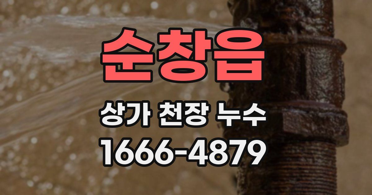 순창읍 상가 천장 누수