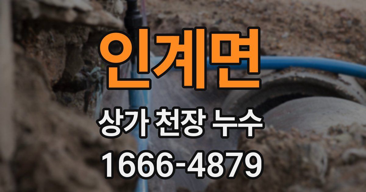 인계면 상가 천장 누수