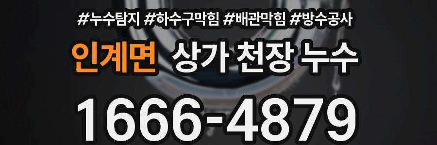 인계면 상가 천장 누수