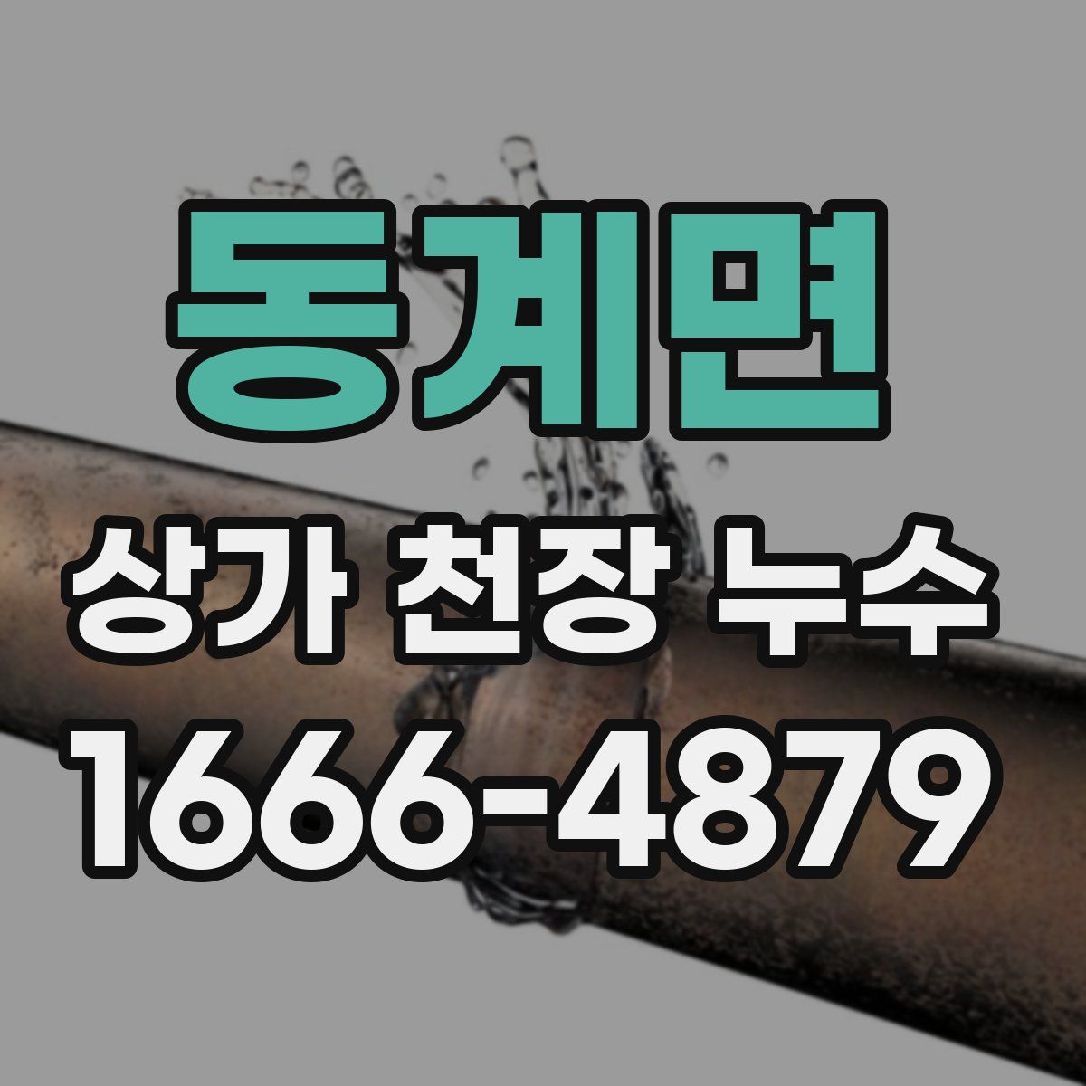 동계면 상가 천장 누수