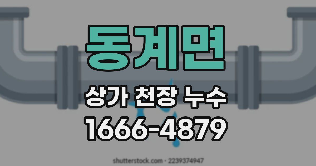 동계면 상가 천장 누수