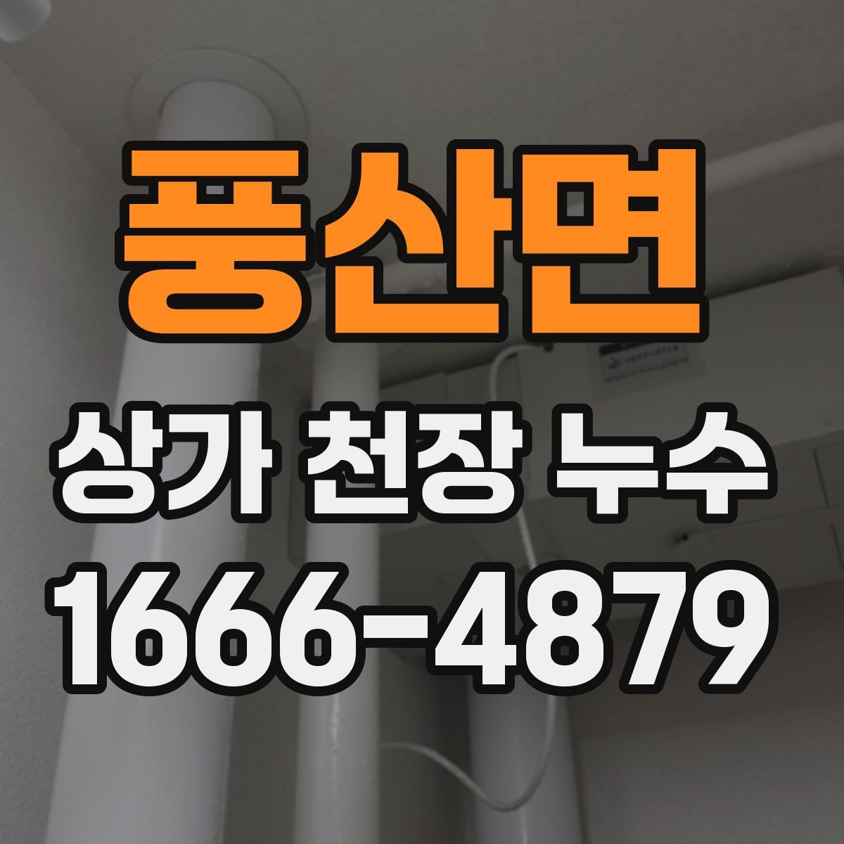 풍산면 상가 천장 누수