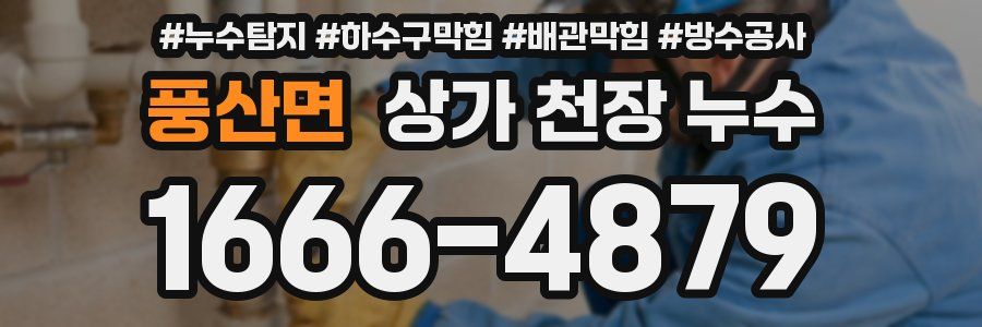 풍산면 상가 천장 누수