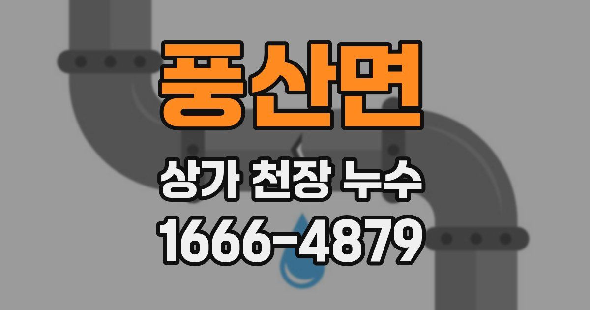 풍산면 상가 천장 누수