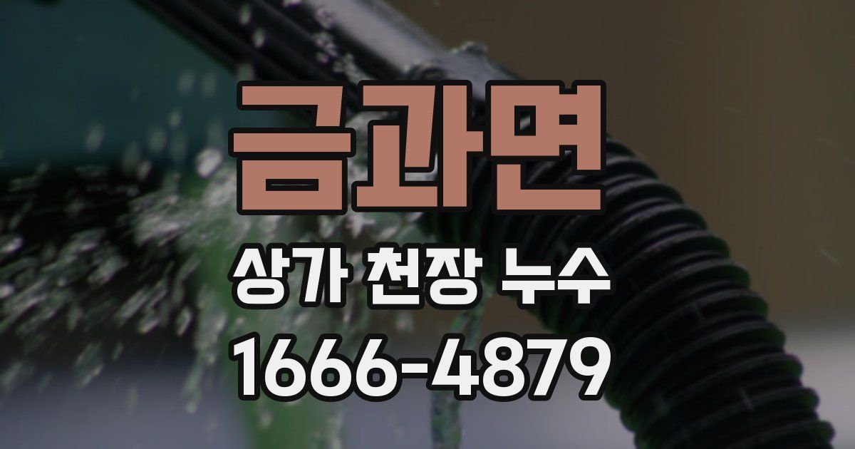금과면 상가 천장 누수