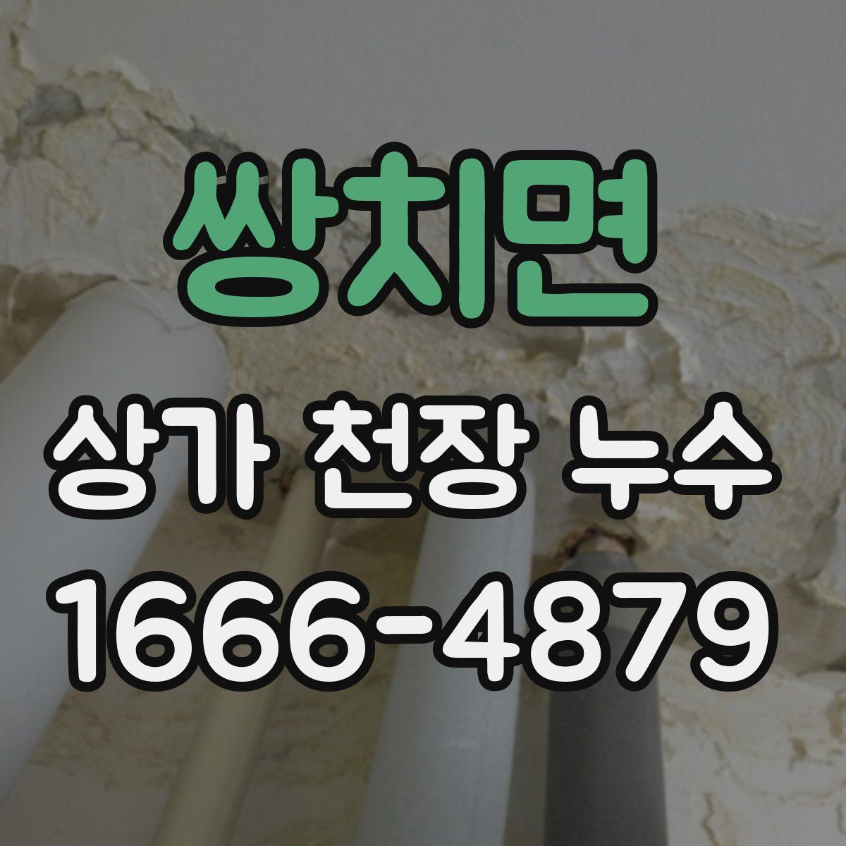 쌍치면 상가 천장 누수