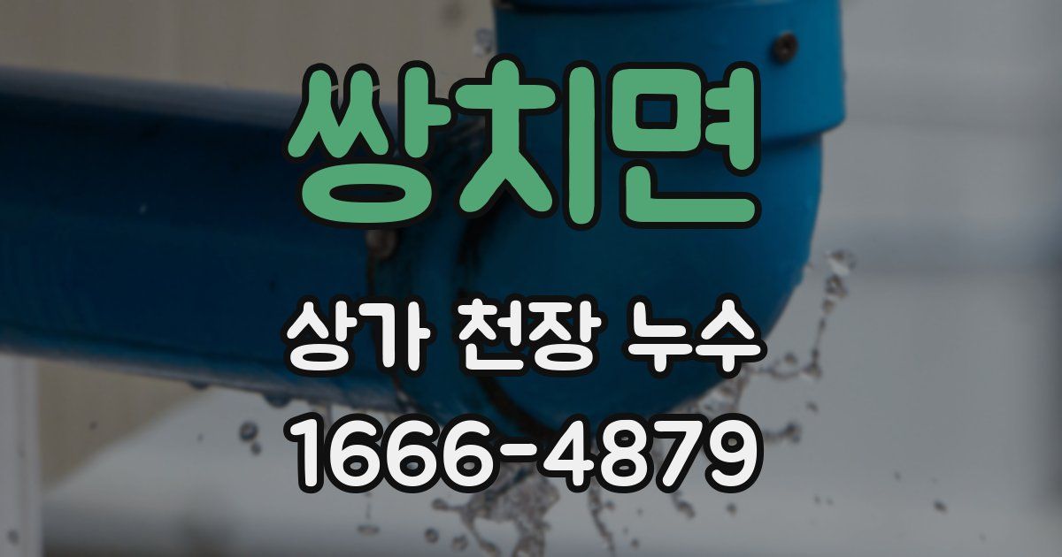 쌍치면 상가 천장 누수