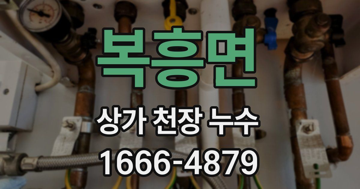 복흥면 상가 천장 누수