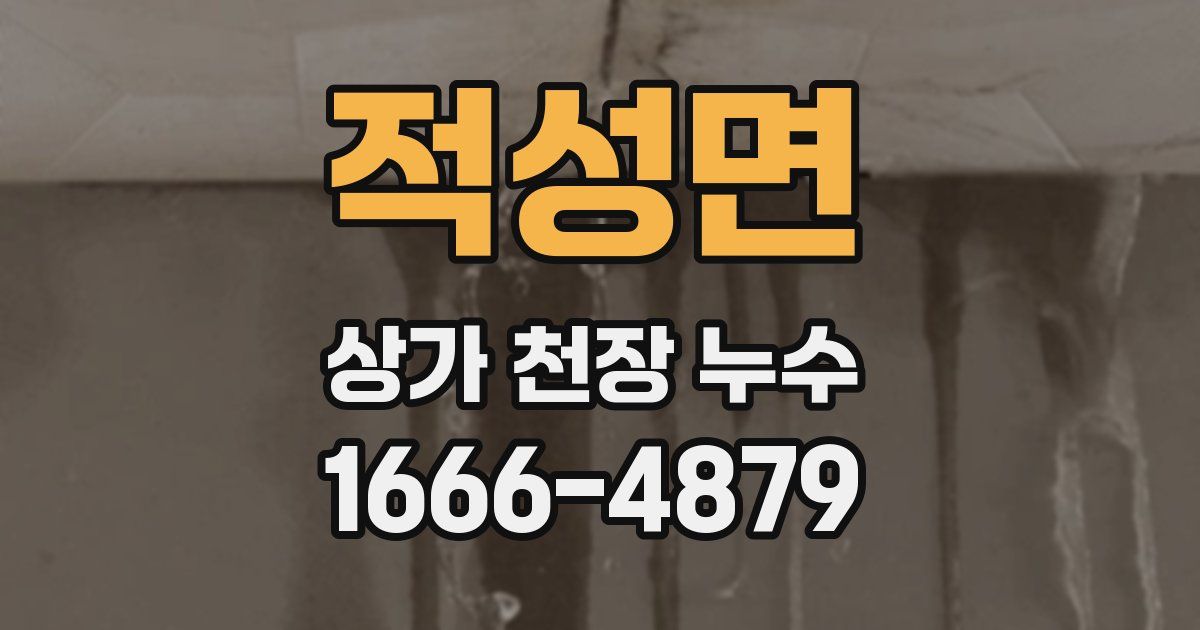 적성면 상가 천장 누수