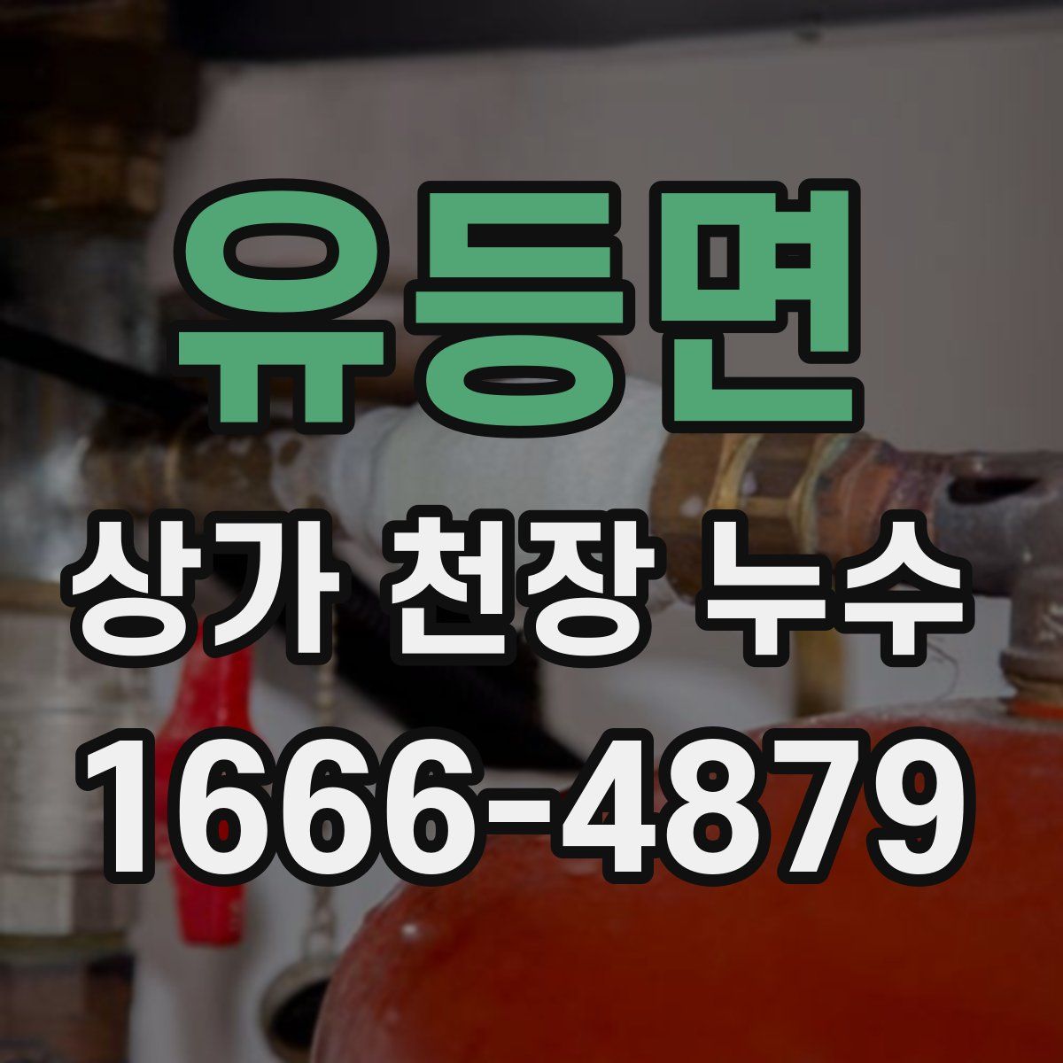 유등면 상가 천장 누수