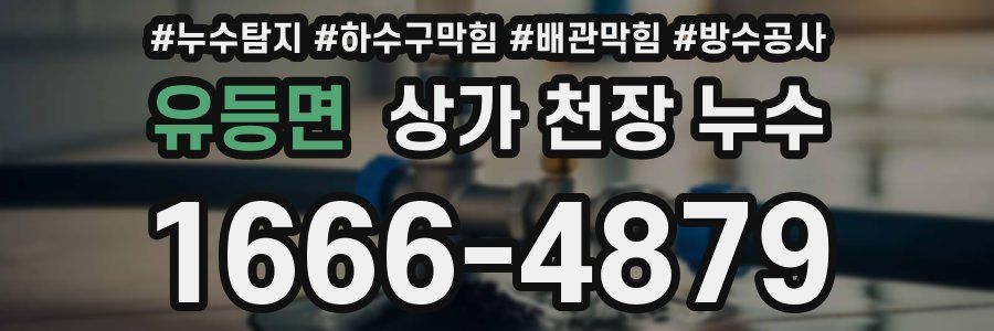 유등면 상가 천장 누수