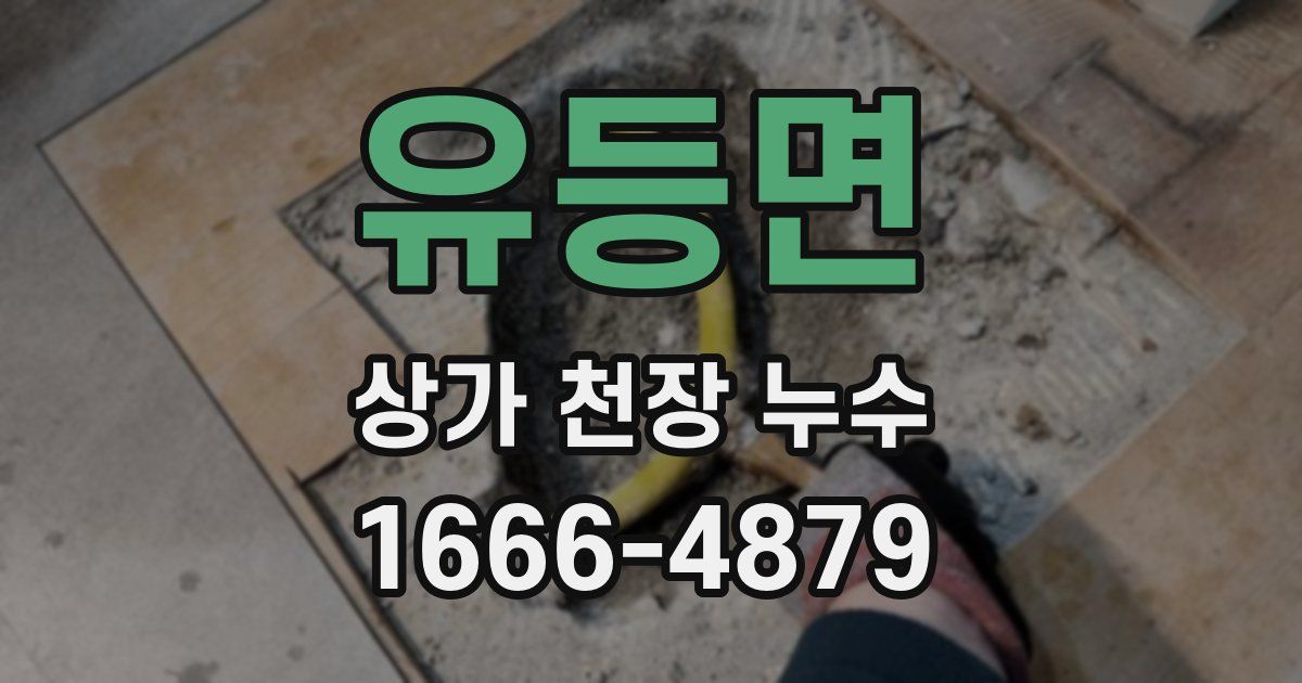 유등면 상가 천장 누수