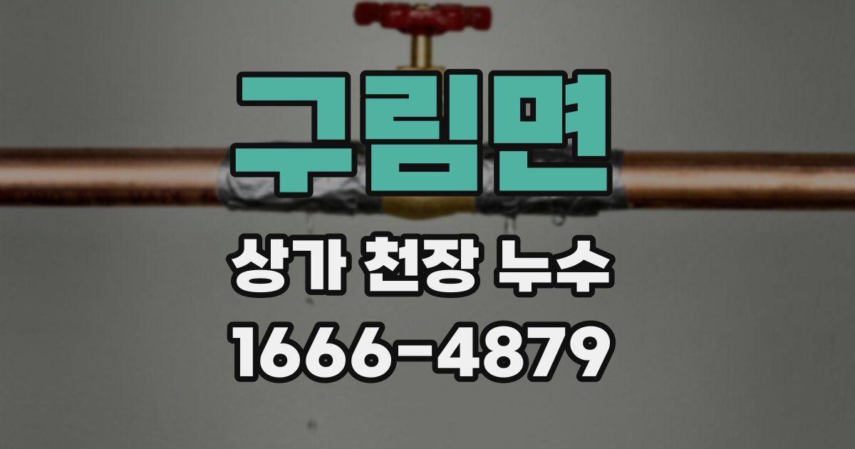 구림면 상가 천장 누수