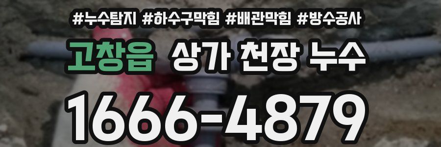 고창읍 상가 천장 누수