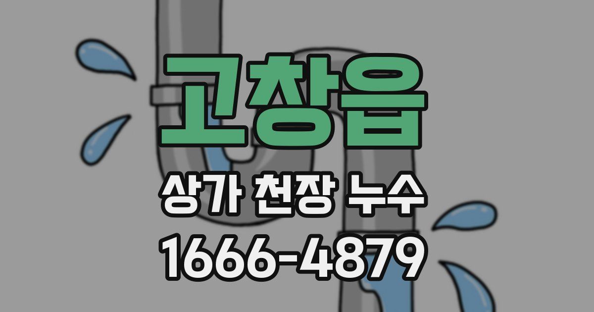 고창읍 상가 천장 누수