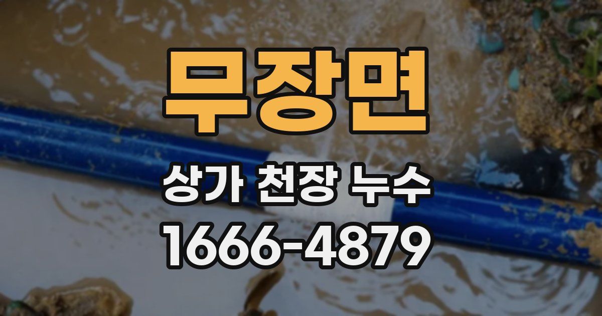 무장면 상가 천장 누수