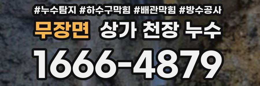 무장면 상가 천장 누수