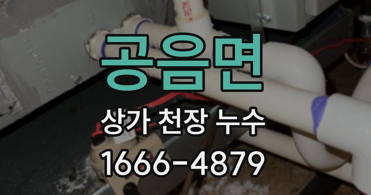 공음면 상가 천장 누수