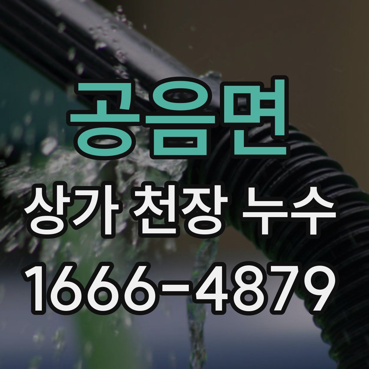 공음면 상가 천장 누수