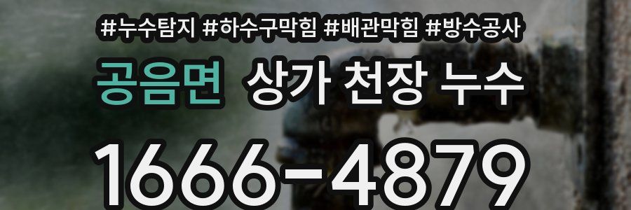 공음면 상가 천장 누수