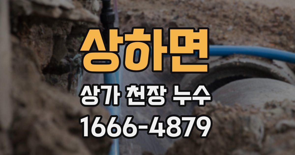 상하면 상가 천장 누수