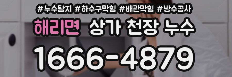 해리면 상가 천장 누수