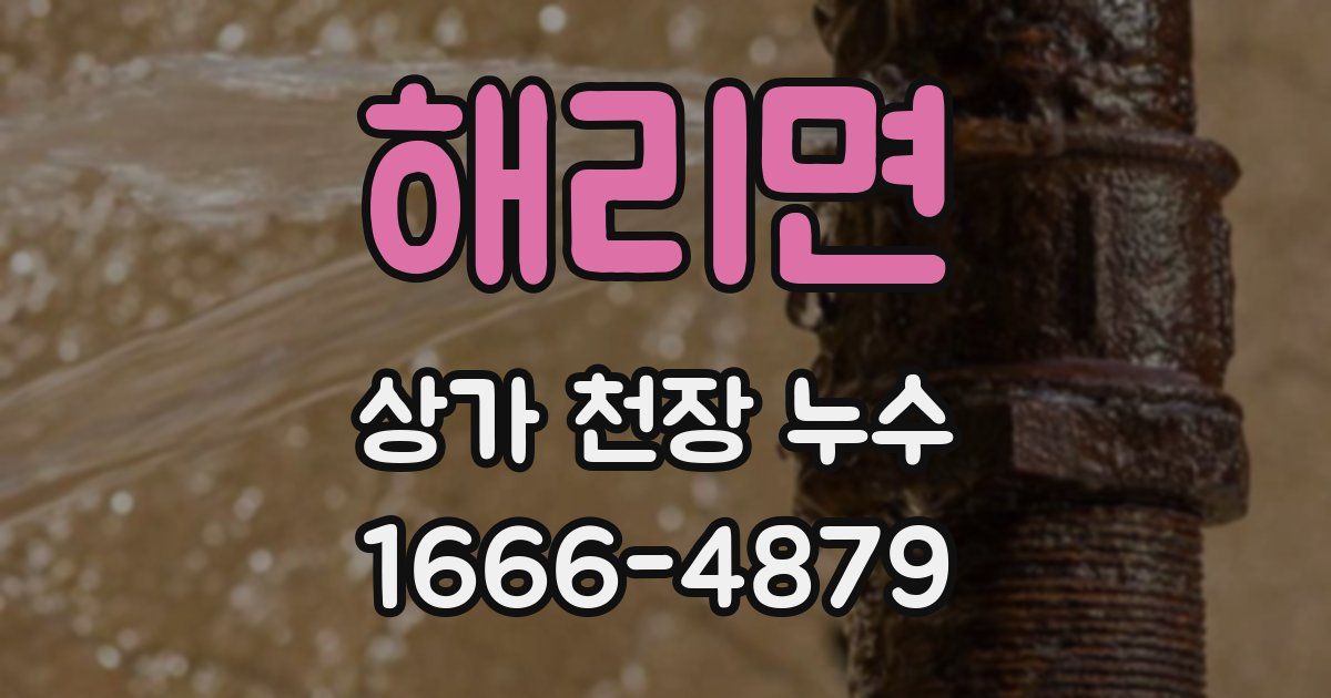 해리면 상가 천장 누수
