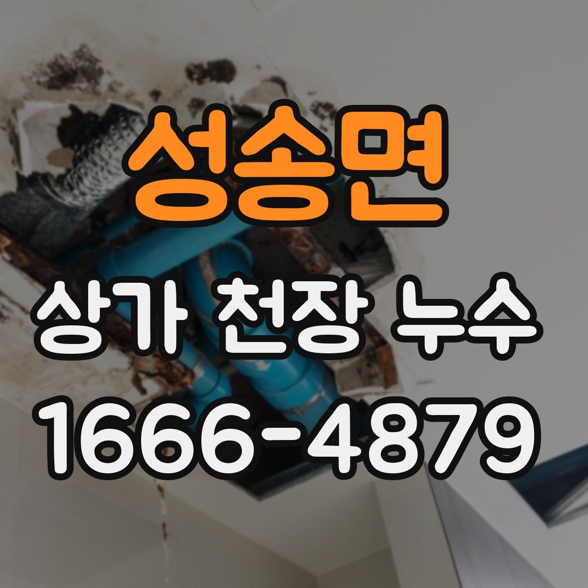 성송면 상가 천장 누수