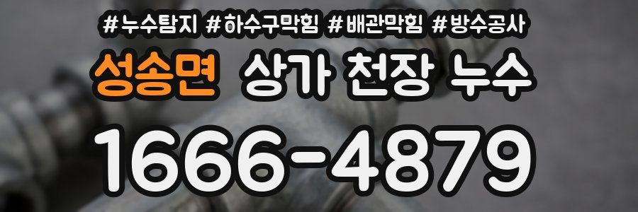성송면 상가 천장 누수