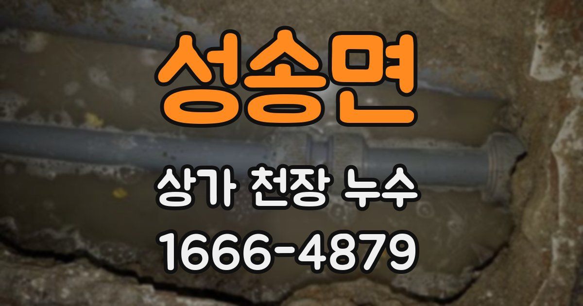성송면 상가 천장 누수