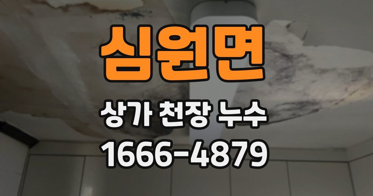 심원면 상가 천장 누수