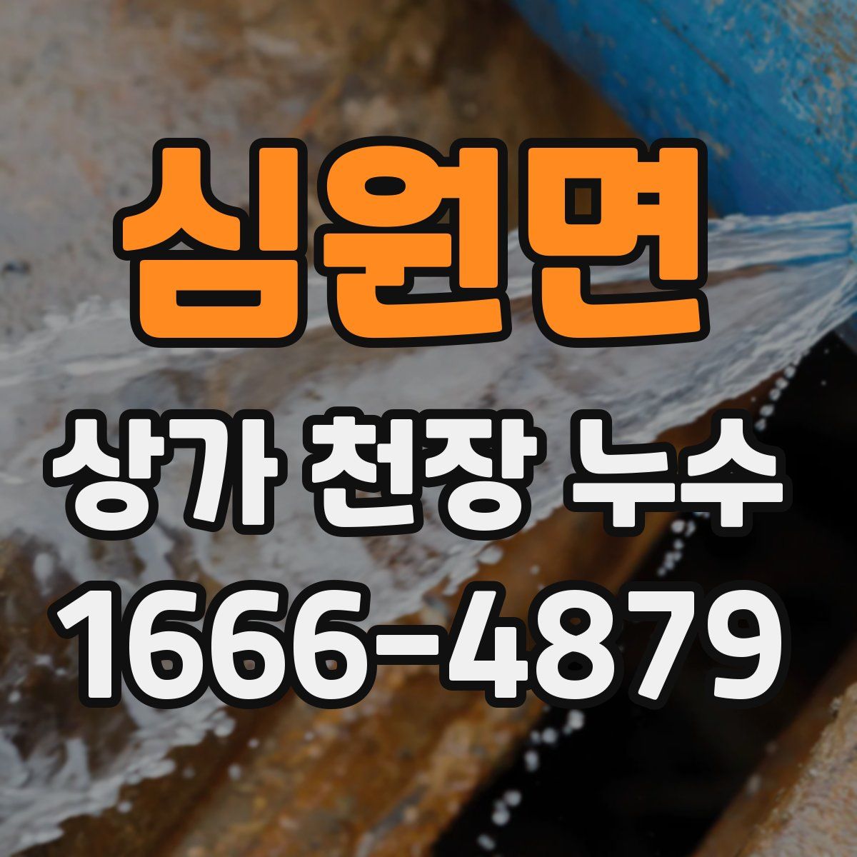 심원면 상가 천장 누수