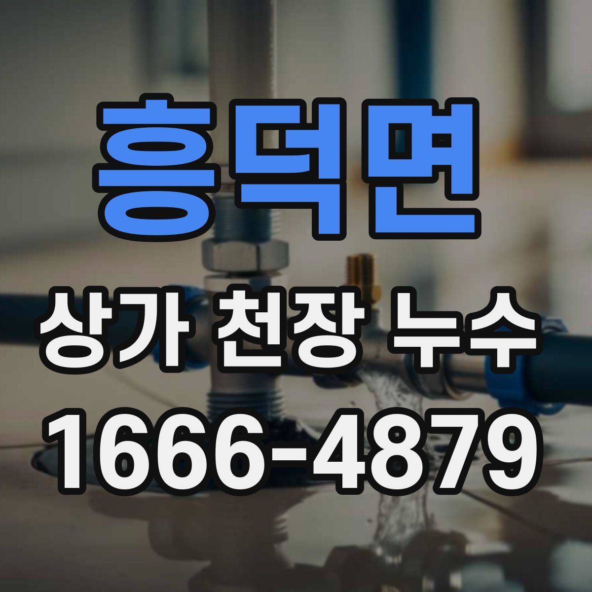 흥덕면 상가 천장 누수