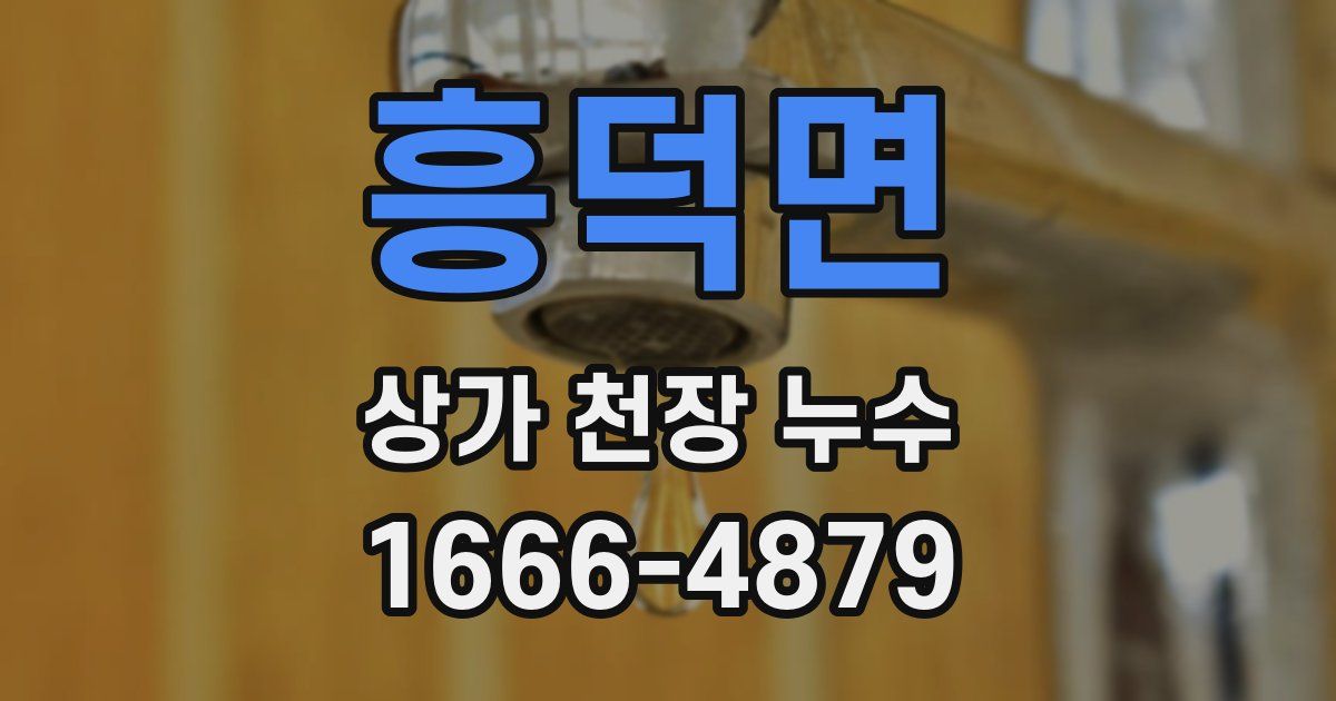 흥덕면 상가 천장 누수