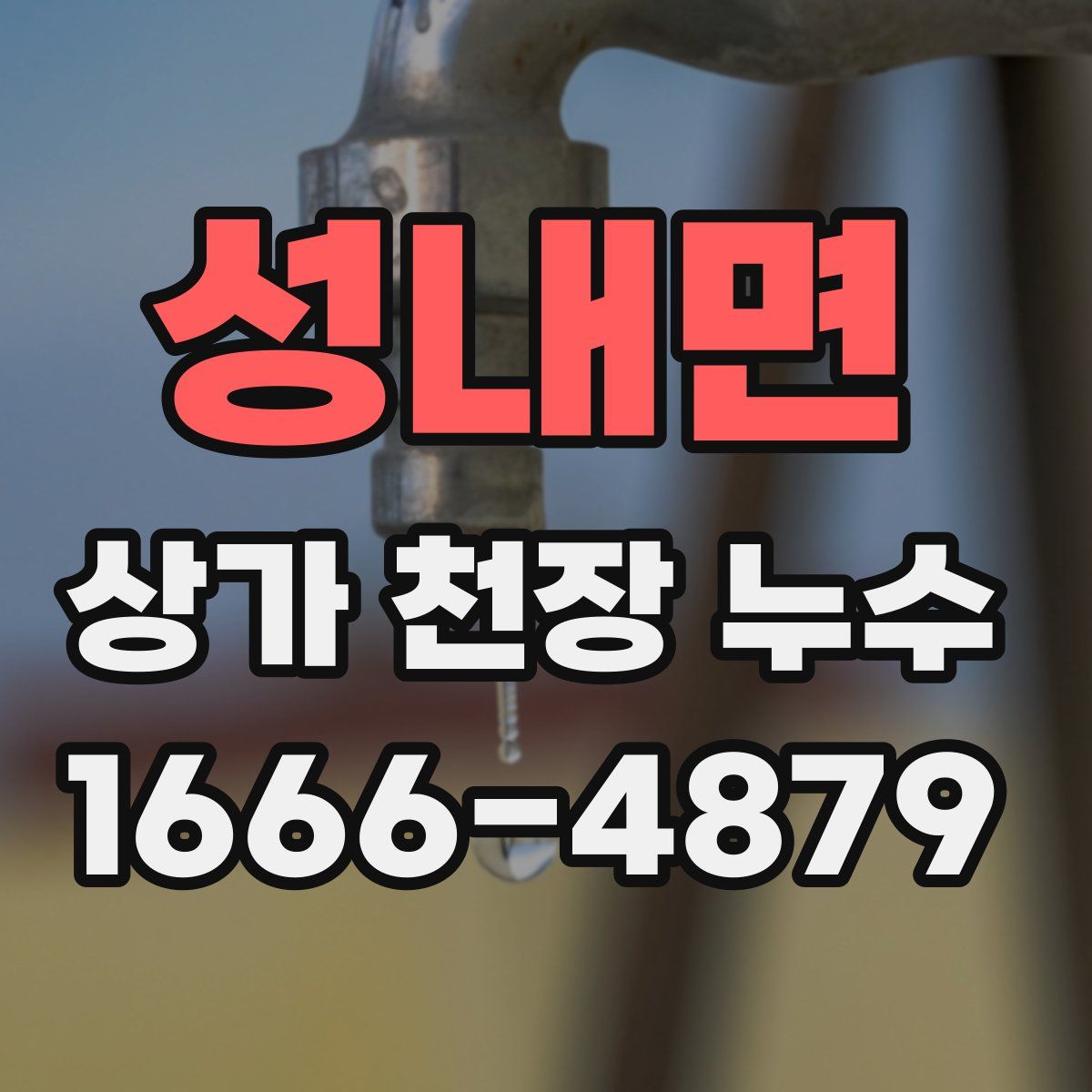 성내면 상가 천장 누수