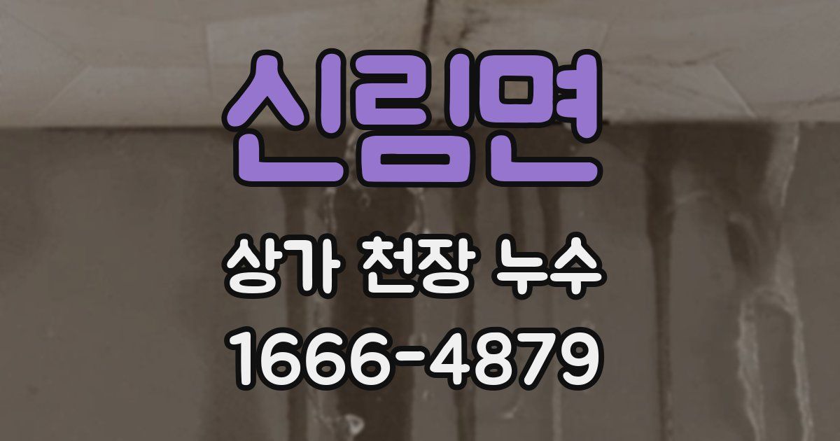 신림면 상가 천장 누수