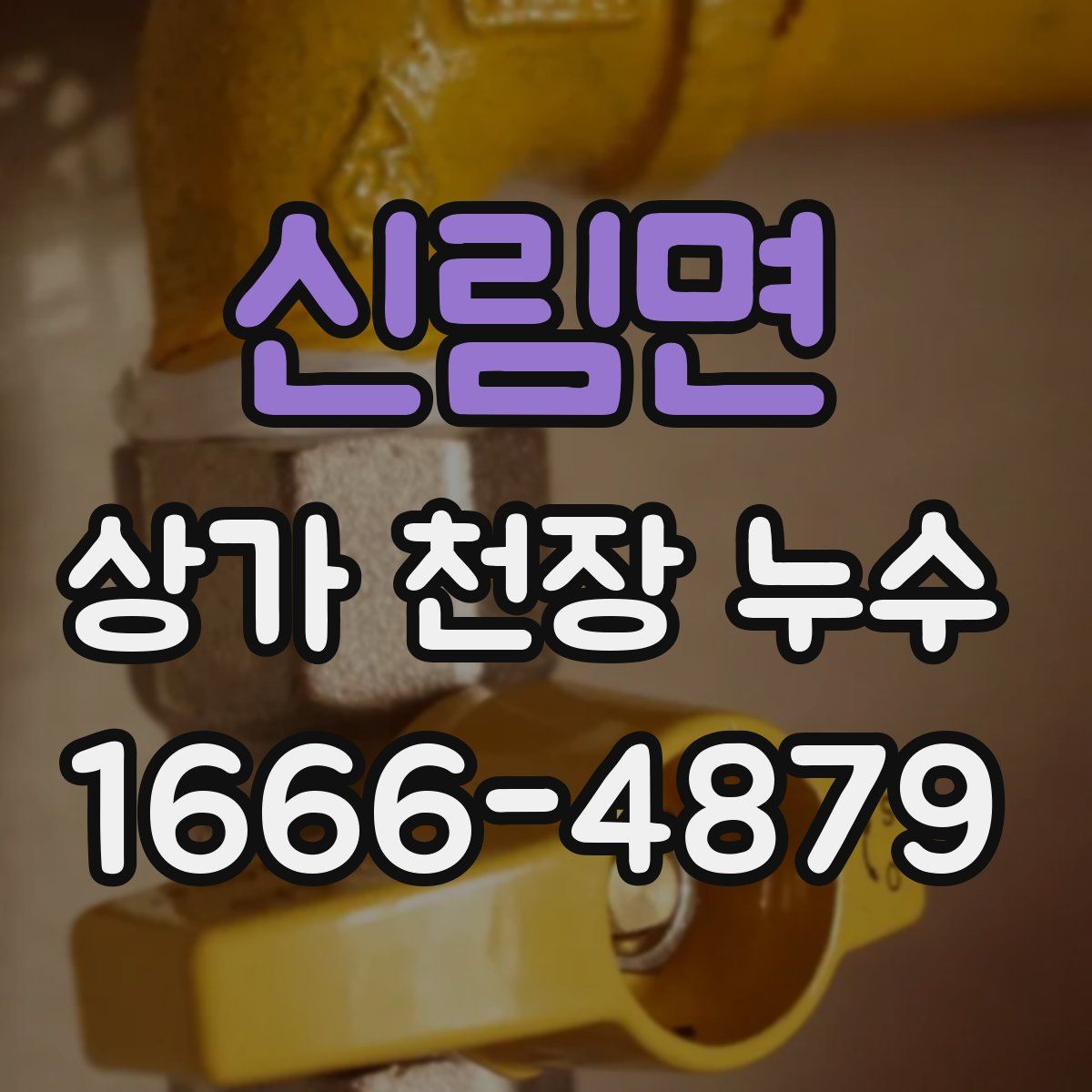 신림면 상가 천장 누수