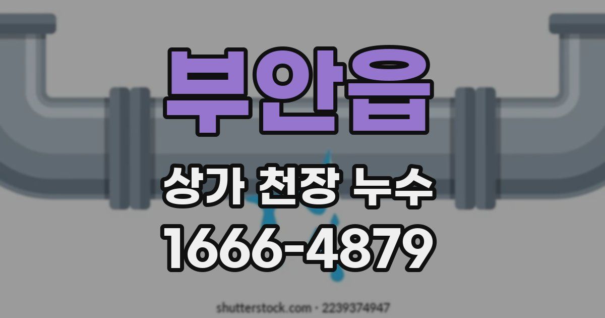 부안읍 상가 천장 누수