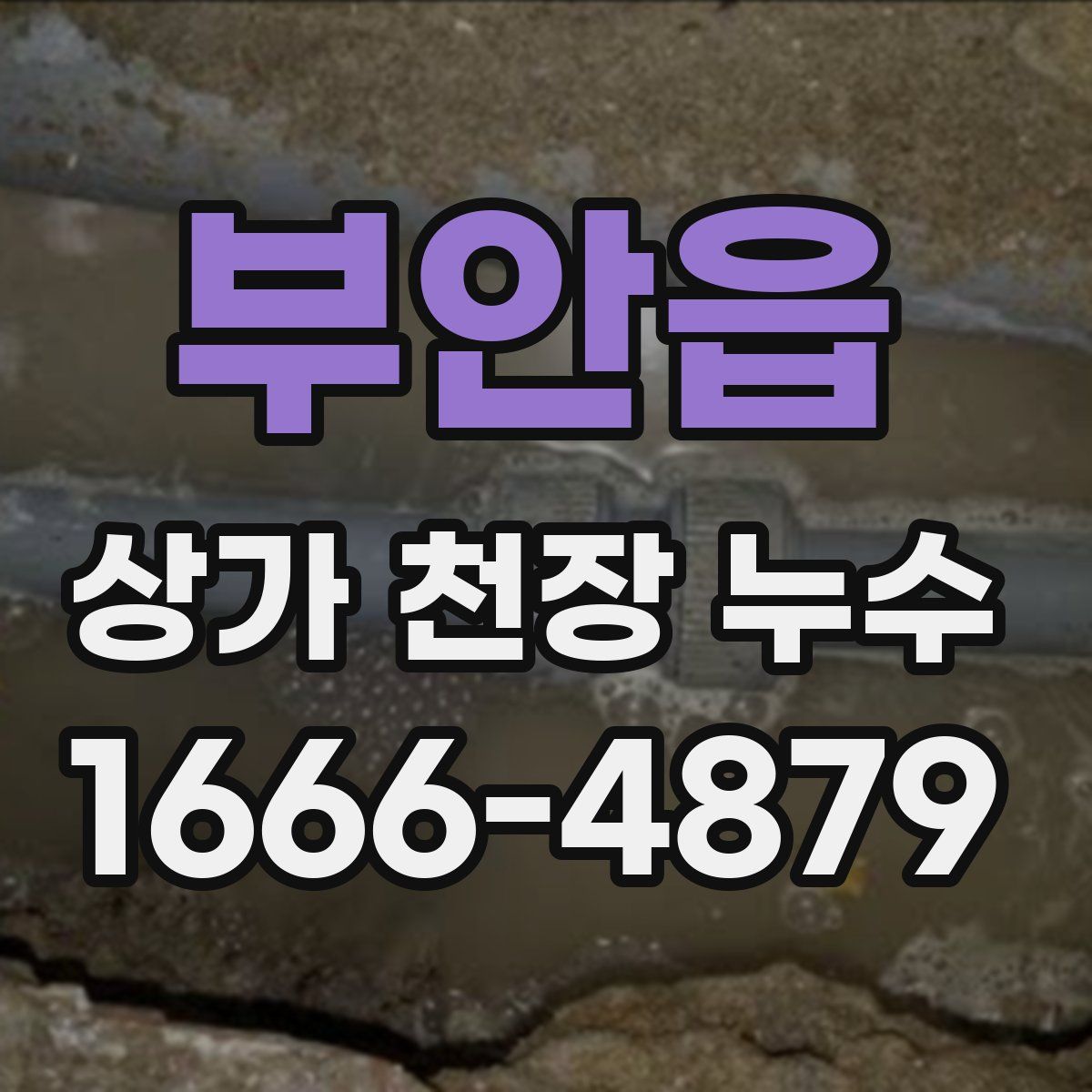 부안읍 상가 천장 누수